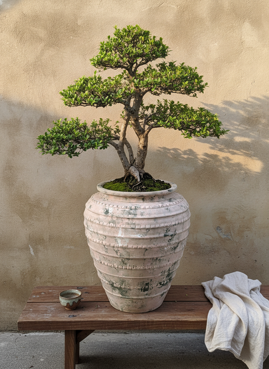 Vaso terracota artesanal feito à mão em Portugal, decoração Japandi, minimalista, rústico, mediterrânico, farmhouse, modern decor. Decoração e design de interiores; decoração e design biofílico;