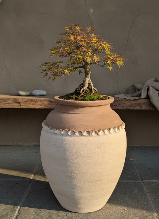 Vaso terracota artesanal Tamar D feito à mão Portugal. Design biofílico; Decoração estilo wabi-sabi, minimalista, rústico, mediterrânico, Japandi e farmehouse. Decoração de interiores;