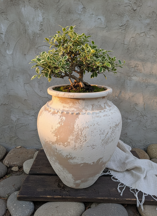 Vaso terracota artesanal Kora H, feito artesanalmente em Portugal. Decoração Japandi, minimalista, rústico, mediterrânico, farmhouse e cottage. Decoração de interiores; Design biofílico;