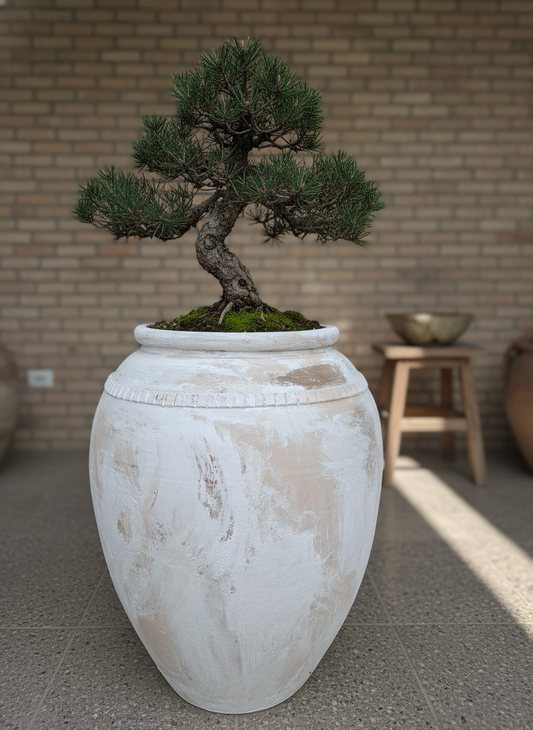 Vaso terracota artesanal EXC 5, feito à mão Portugal, decoração wabi-sabi, farmhouse, Japandi, minimalista, mediterrânica, cottagecore e moderno. Decoração sustentável e design de interiores; design biofílico;