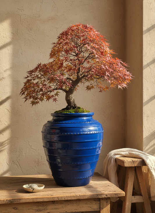 Vaso terracota artesanal Safi A feito à mão Portugal, decoração wabi-sabi, minimalista, rústico, mediterrânico, e outras. Decoração e design de interiores; decoração e design biofílico;