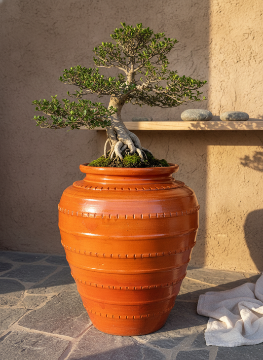 Vaso terracota artesanal  Safi G handmade em Portugal. Decoração sustentável nos estilos wabi-sabi, farmhouse, Japandi, minimalista, mediterrânica, cottagecore e moderno.  Design de interiores; design biofílico;