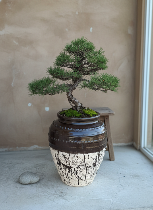 Vaso terracota artesanal feito à mão em Portugal, decoração moderna, Japandi, minimalista, rústico, mediterrânico, farmhouse, cottagecore. Decoração e design de interiores; decoração e design biofílico;