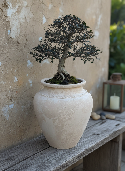 Vaso terracota artesanal Kora D feito à mão Portugal. Decoração e design biofílico; Decoração estilos wabi-sabi, minimalista, rústico, mediterrânico, farmehouse, cottage. Design de interiores; 
