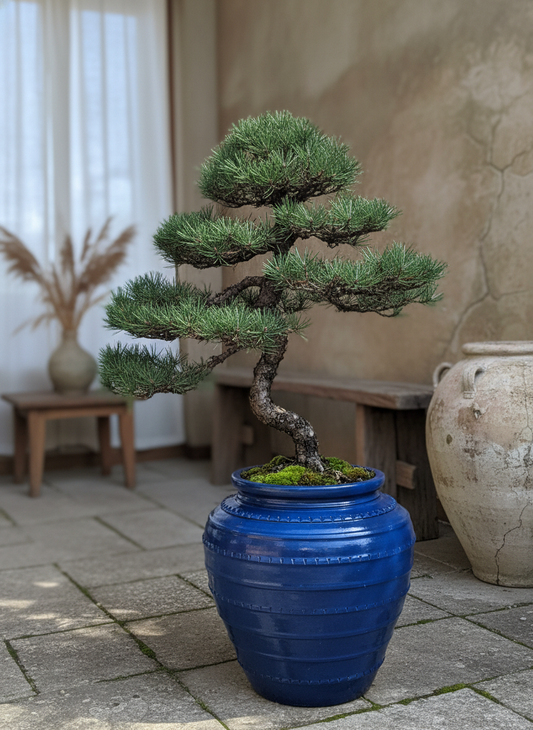 Vaso terracota artesanal Safi A feito à mão Portugal, decoração wabi-sabi, minimalista, rústico, mediterrânico, e outras. Decoração e design de interiores; decoração e design biofílico;